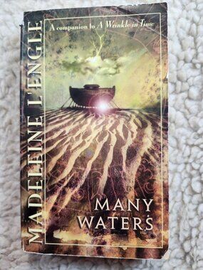 Madeleine LEngle Many Waters Paperback Commemorative Edition 1998 Worn Cover